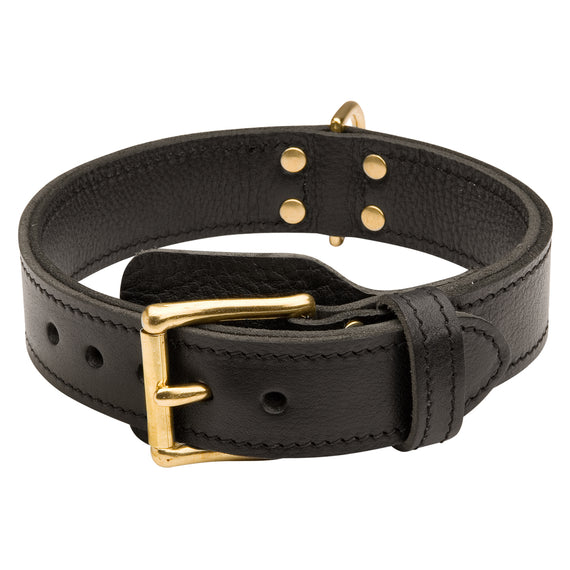 Wide 2 ply Leather Agitation Dog Collar - DogSports4u