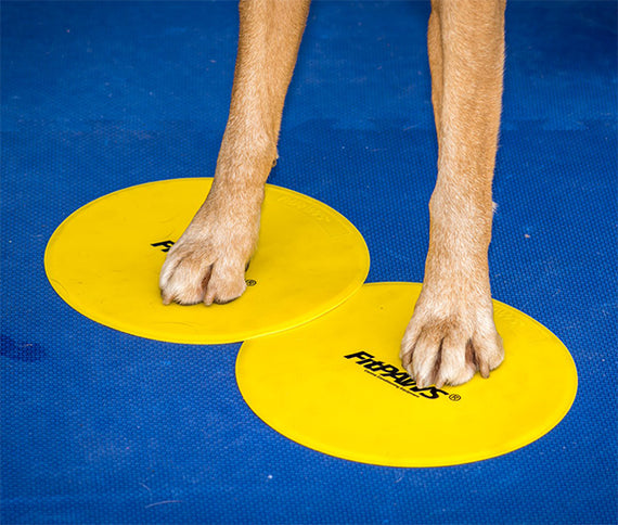 FitPAWS® Targets