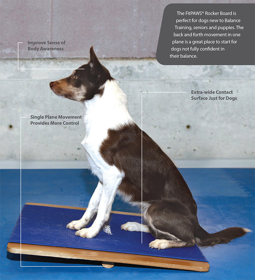 FitPAWS® Giant Rocker Board