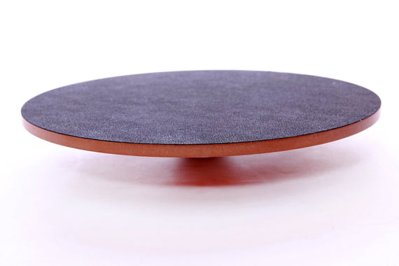 FitPAWS® Wobble Board