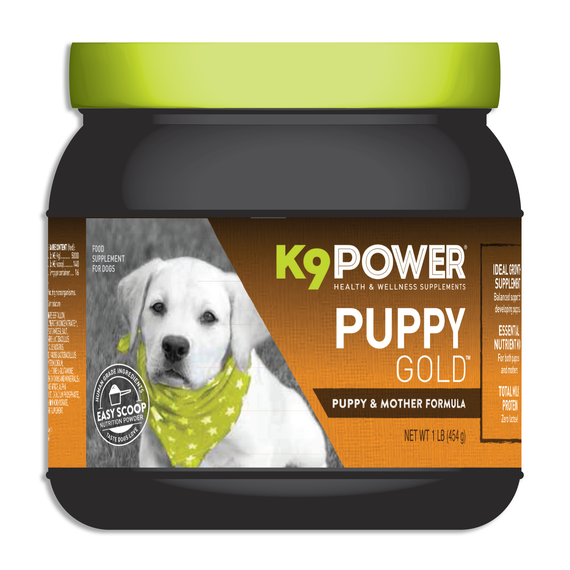 K9 Power Puppy Gold - DogSports4u