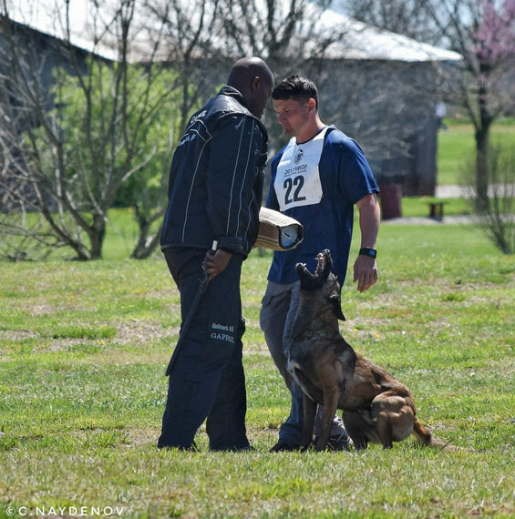 Diamond Hansel IPO Workshop at CatTail Farm in Pennington, NJ June31-July1, 2018 - DogSports4u