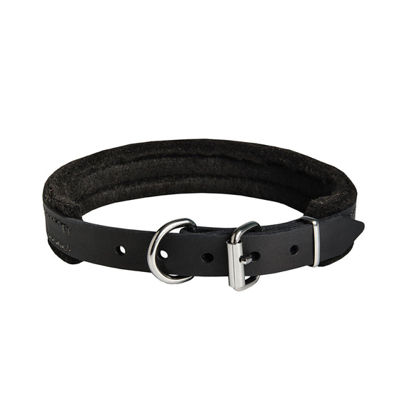 Felt Padded Leather  Collar with Strong Hardware - DogSports4u