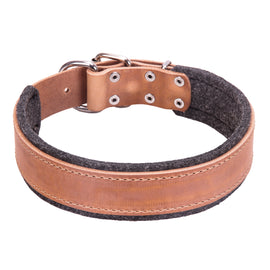 1.5" Wide Leather Dog Collar with Felt Padding for Protection Training - DogSports4u