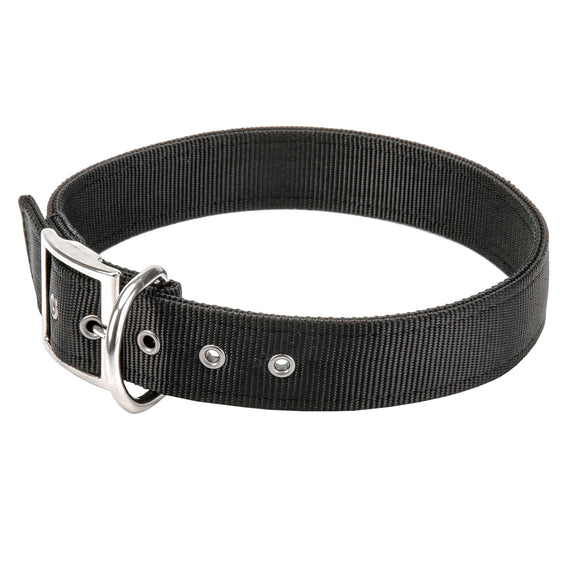 Nylon Dog Collar for Any Weather Walking and Training - DogSports4u