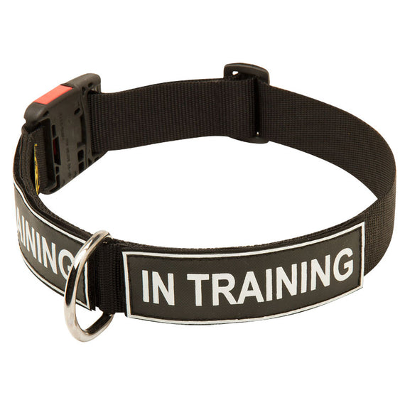All Weather Nylon Dog Collar with Patches and Quick Release Buckle - DogSports4u