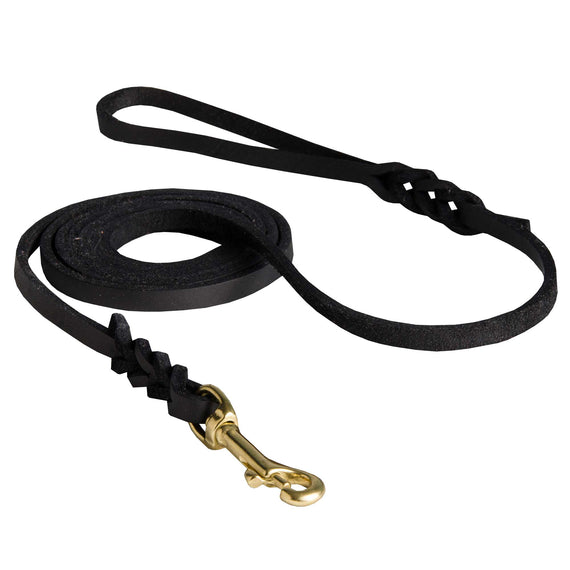 Luxurious Leather Dog Leash with Beautiful Braids - DogSports4u