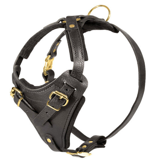 Adjustable Leather Agitation Harness - DogSports4u