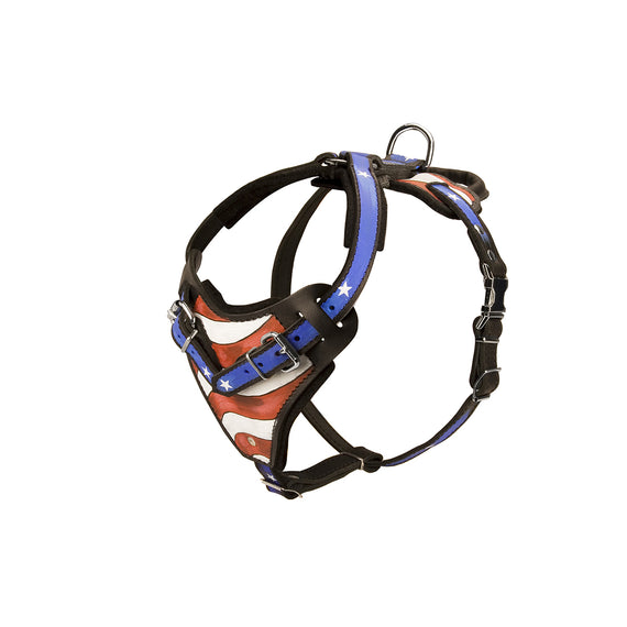 H1AP - Handpainted Leather Dog Harness for Training and Walking - DogSports4u