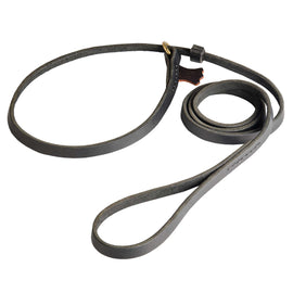 Dominant Dog Leather Collar Leash Combination - DogSports4u