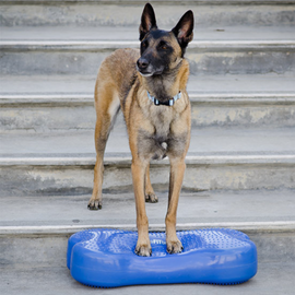 CanineGym® K9FITbone