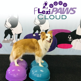 The FlexiPAWS Cloud by FitPaws