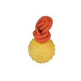 Hollow Rubber Dog Training Ball on a Rope - DogSports4u
