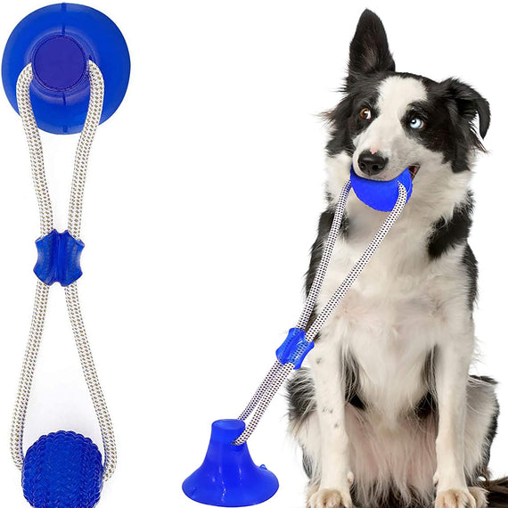 Interactive Suction Cup Dog Chew Toy with Elastic Rope