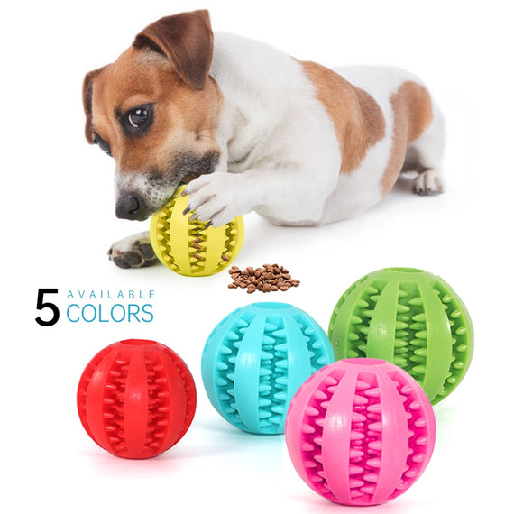 \Interactive Toys Dog Chew Toys Tooth Cleaning